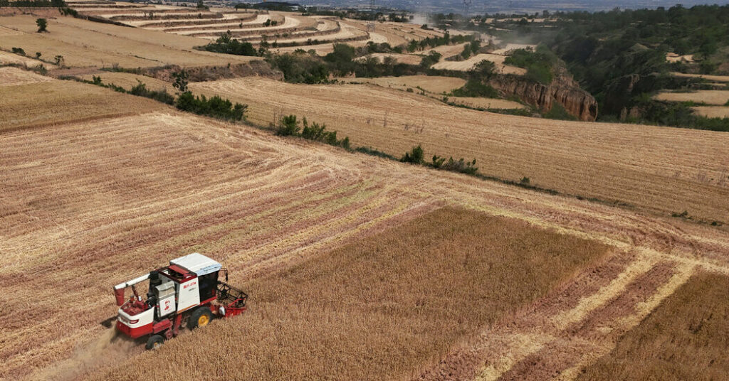 Drought Is Hurting Global Food Supplies