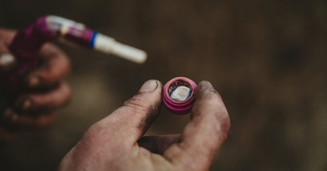 China Tightens Controls on Fentanyl but Calls It a U.S. Problem  at george magazine