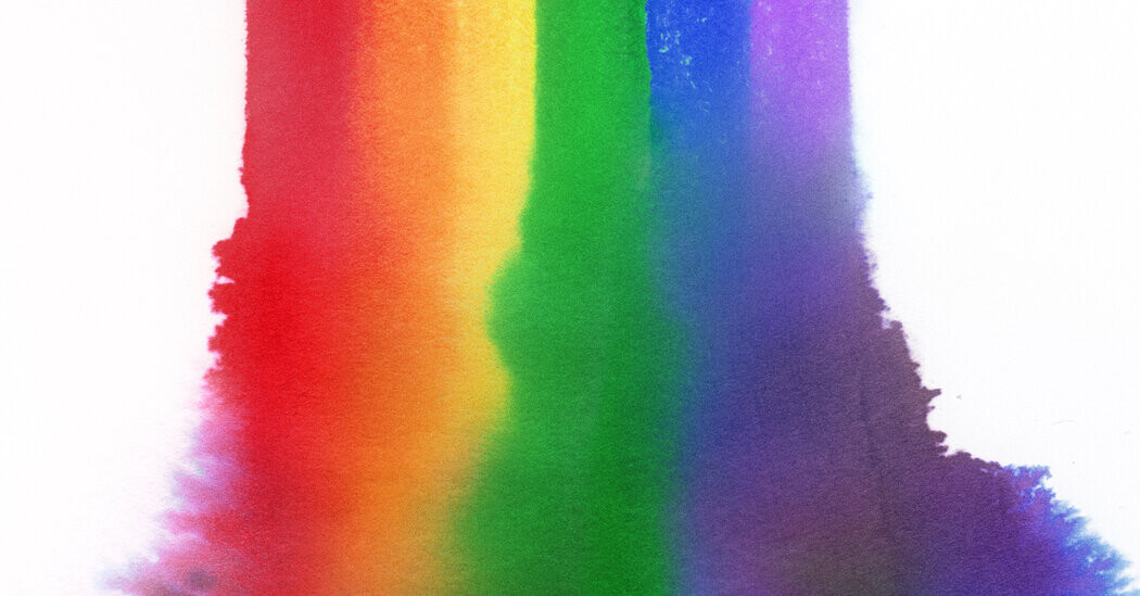 How the Gay Rights Movement Radicalized, and Lost Its Way  at george magazine