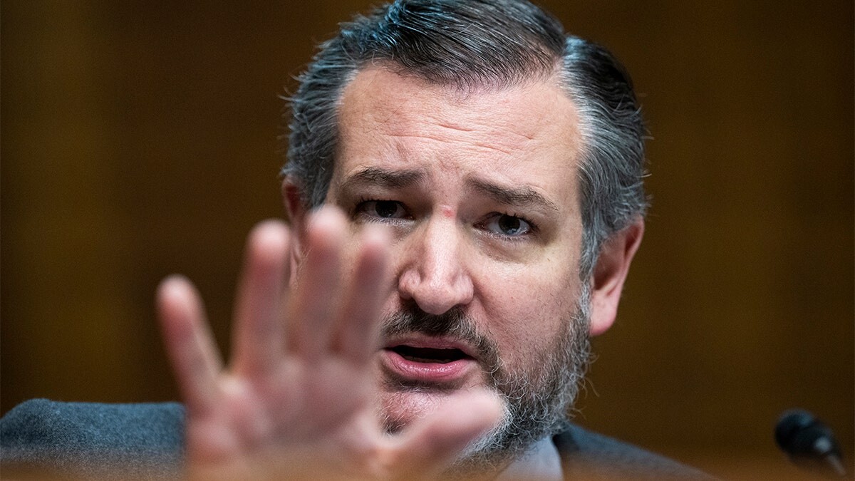 GOP says Dems admit ‘guilt’ in Biden health cover-up by boycotting Senate hearing on ‘constitutional scandal’  at george magazine