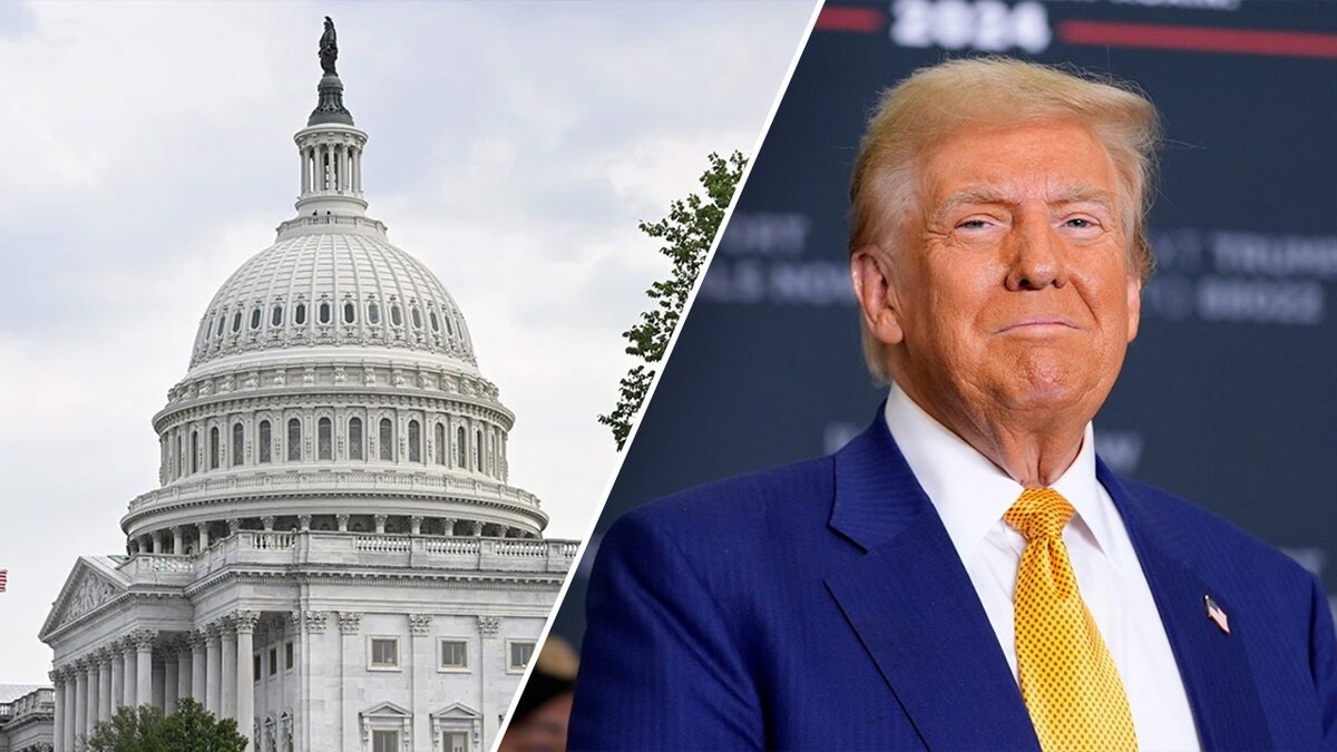 Trump's conservative allies warn Congress faces critical 'test' with $9.4B spending cut proposal  at george magazine