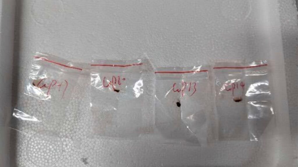 Chinese bioterror suspects’ arrests signal communist country plotting ‘something worse’ than COVID: expert