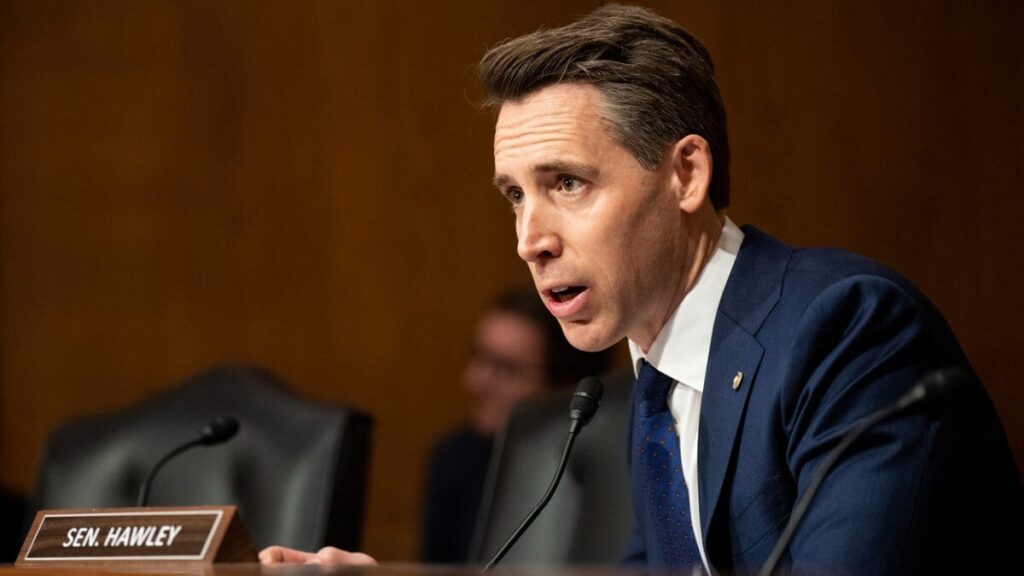 Left-wing advocacy groups in the hot seat as anti-ICE riots trigger investigation: ‘Not protected speech’