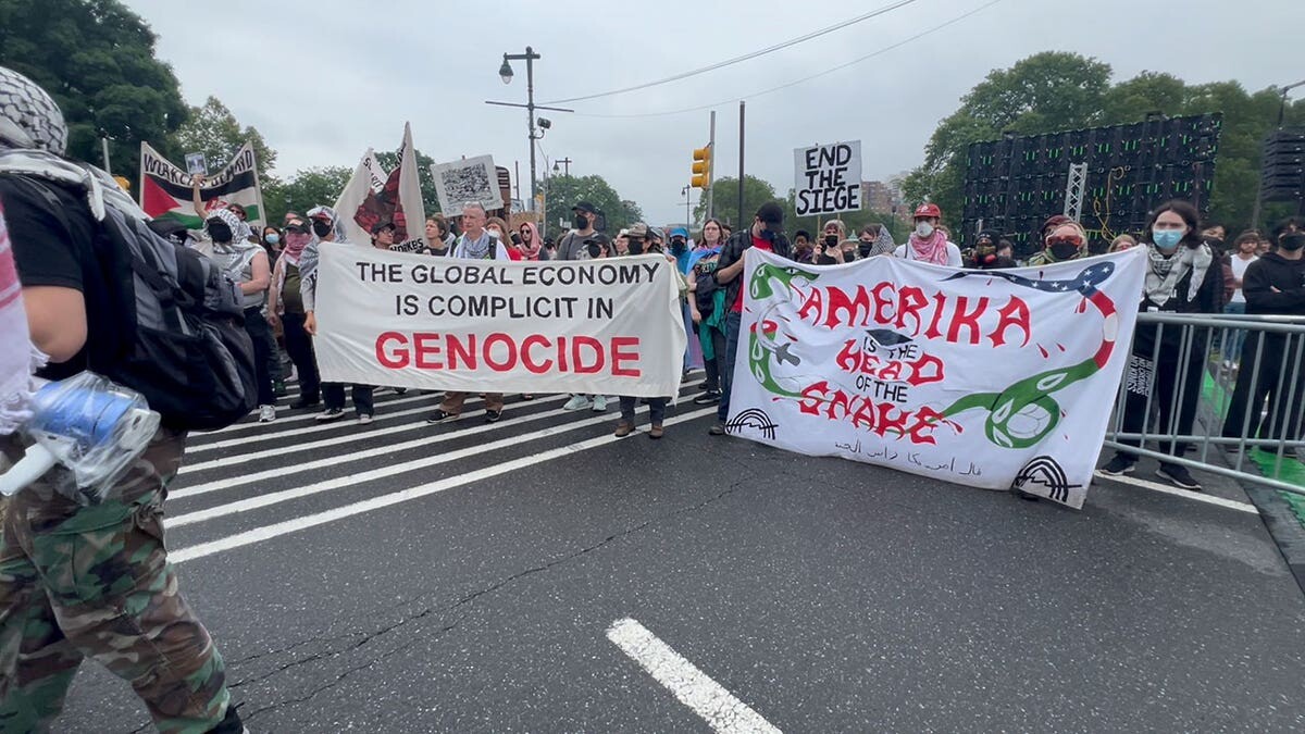 ASRA NOMANI: I watched hate consume Democrats' 'non-violent' #NoKings rallies  at george magazine