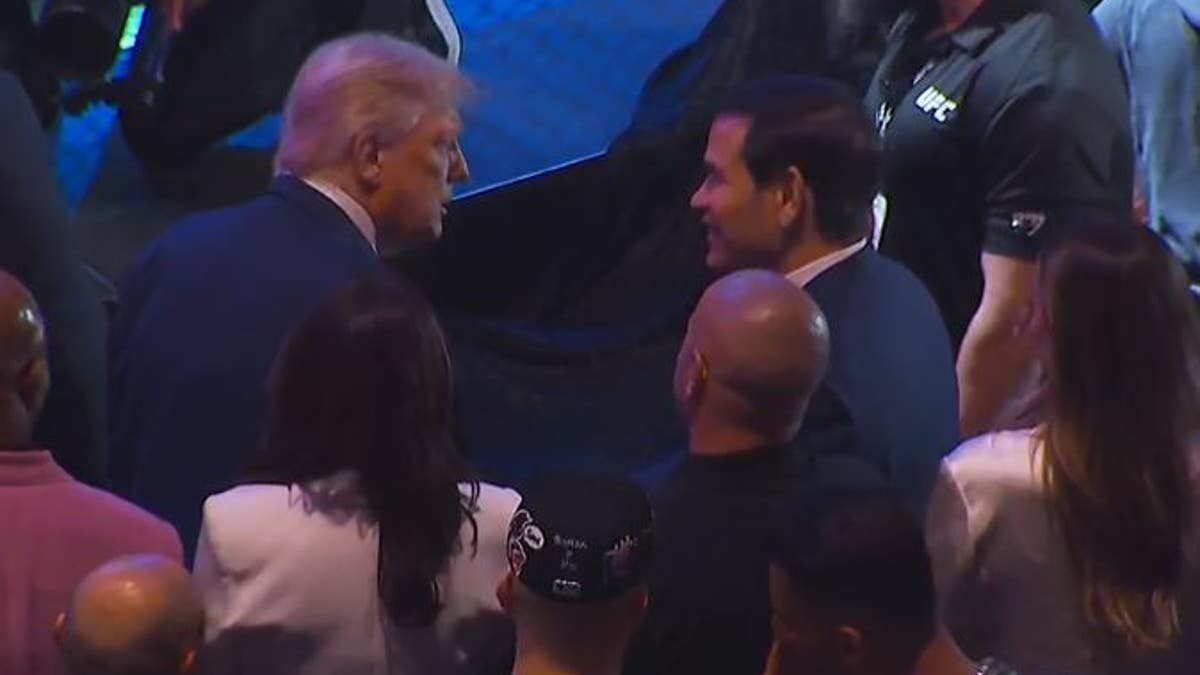 Trump's UFC 316 appearance draws massive ovation in New Jersey, fighter celebrates with him after win  at george magazine
