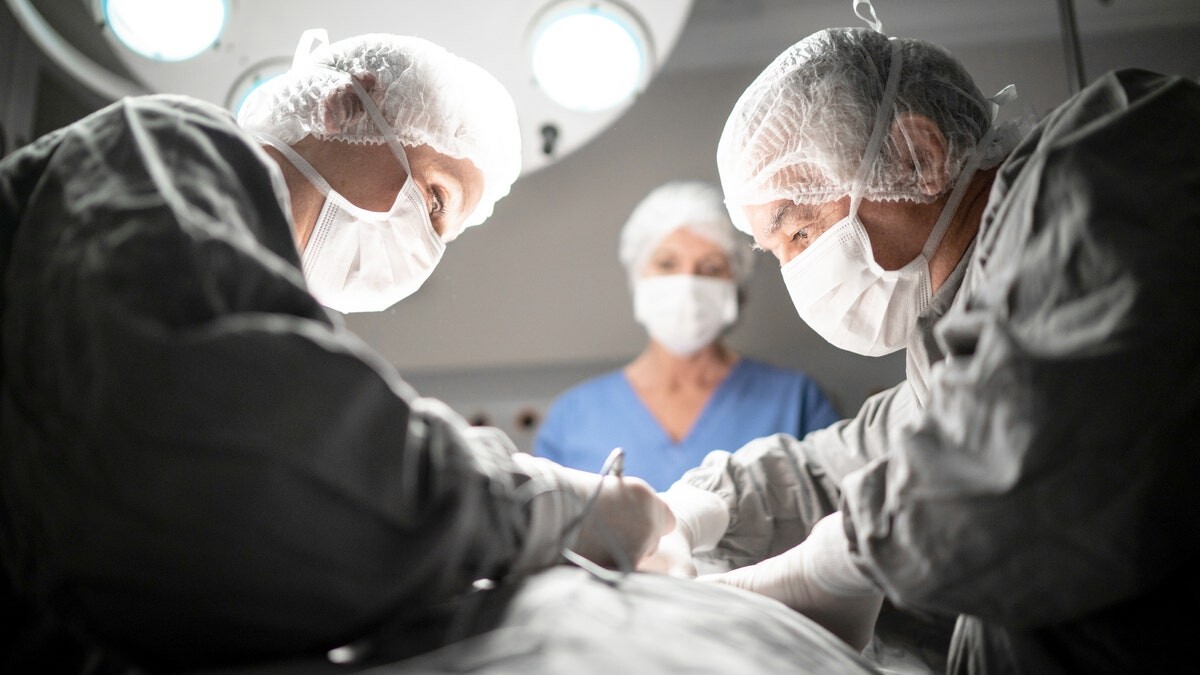 Organ donors' lives endangered by rushed transplant procedures, investigation finds  at george magazine