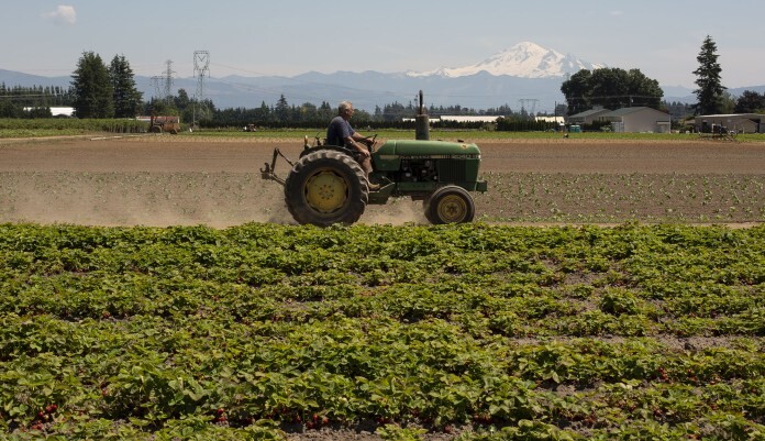 Trump USDA declines to defend Biden-era race-based farmer assistance programs