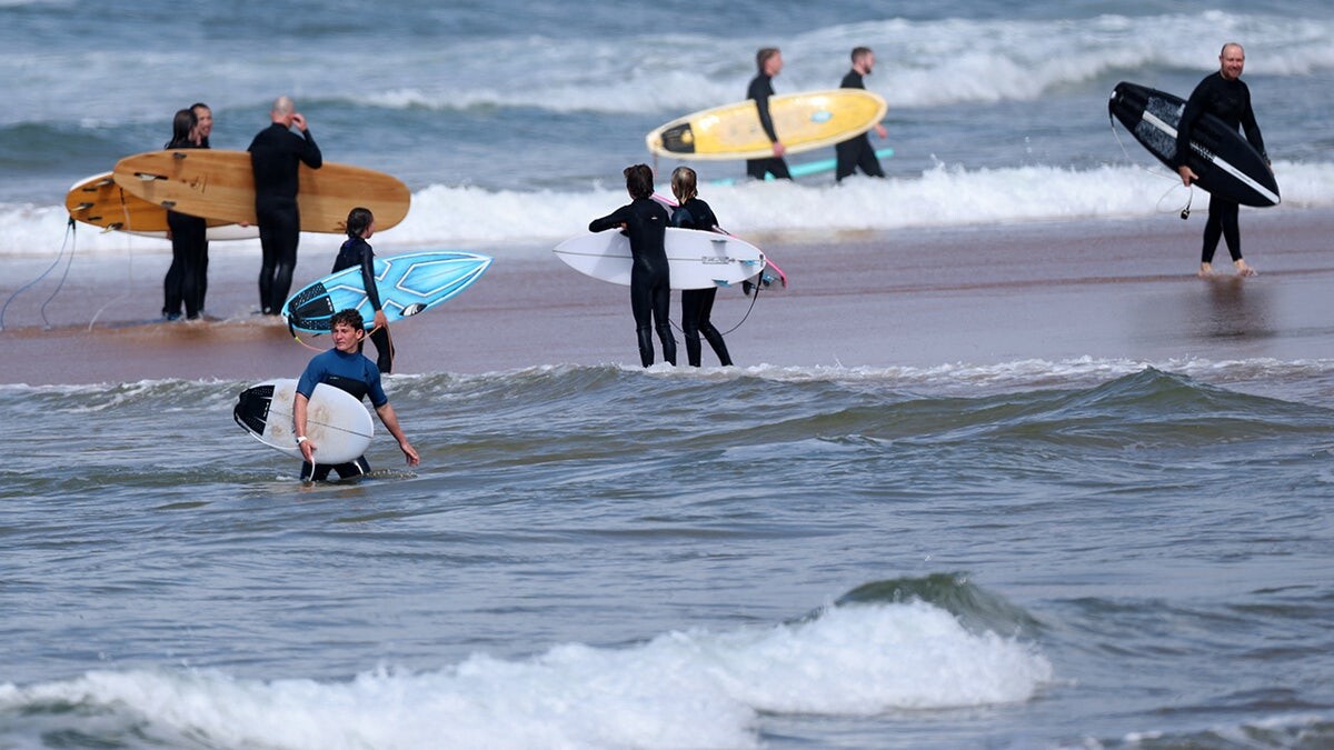 'Large shark' kills man at Australian beach, with witness describing hearing screams of 'don't bite me!'  at george magazine