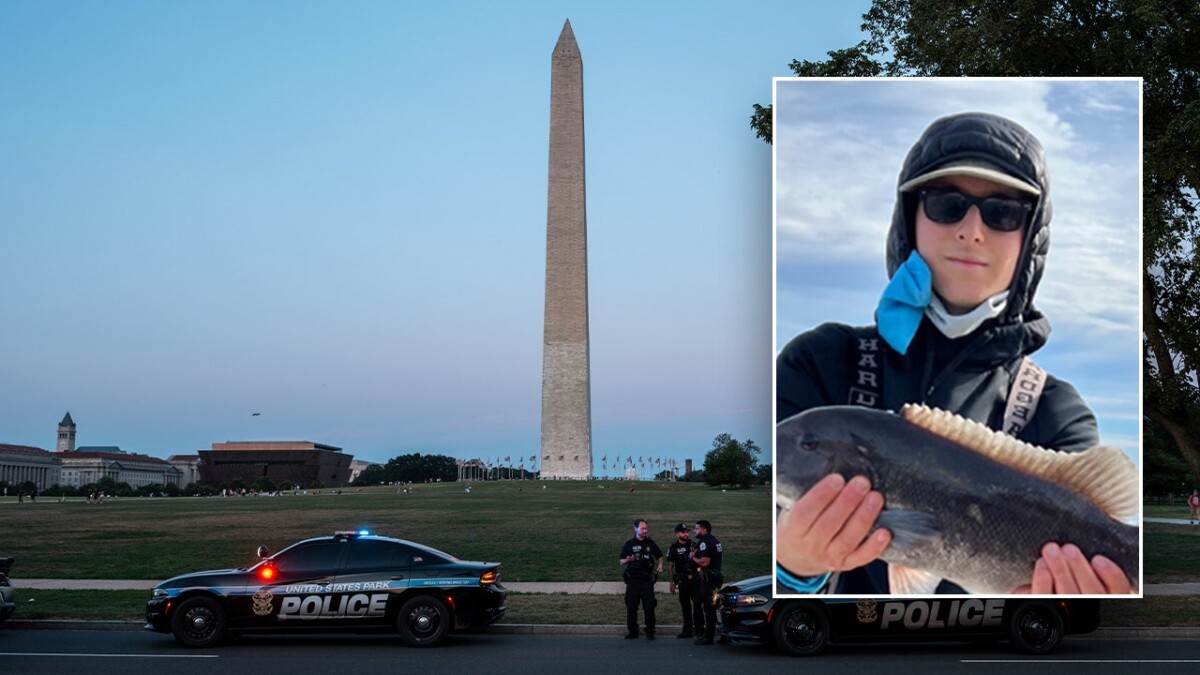 Two teens arrested in murder of Capitol Hill intern, third sought: DOJ, DC police  at george magazine
