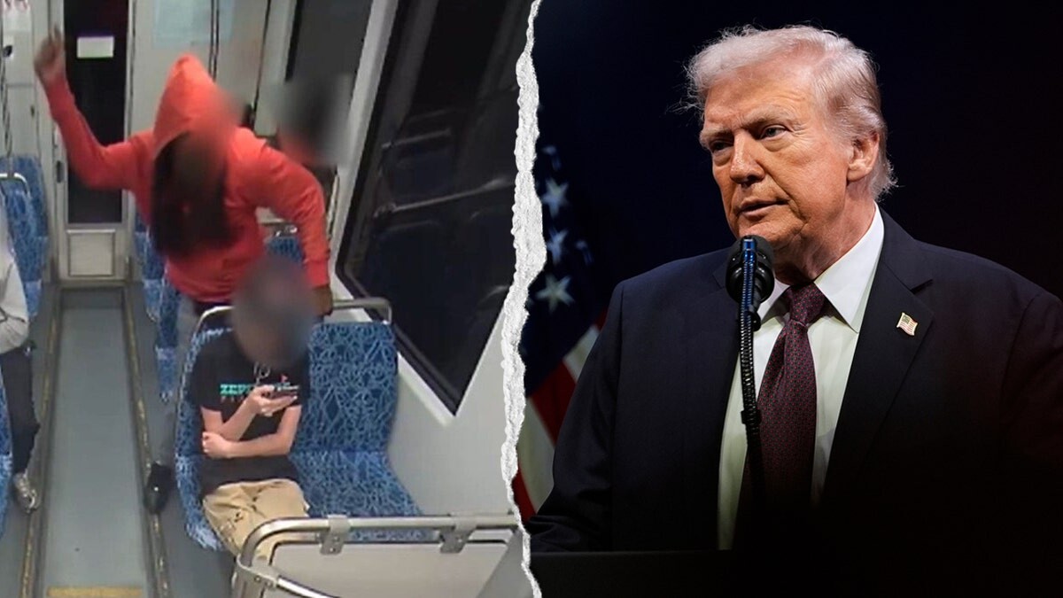 Trump says Democrats have ‘blood on their hands’ after deadly Charlotte train stabbing  at george magazine