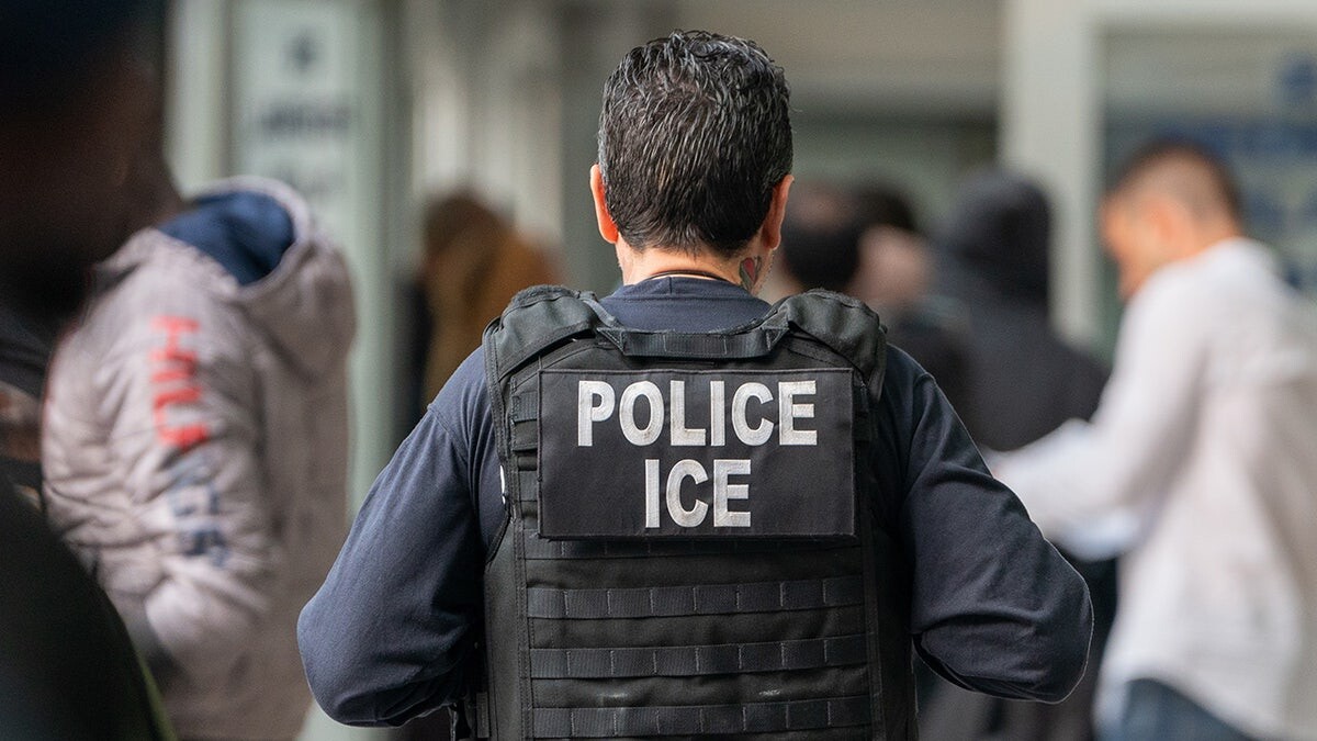 North Carolina city declares itself a 'Fourth Amendment Workplace' to protect illegal immigrants from ICE  at george magazine