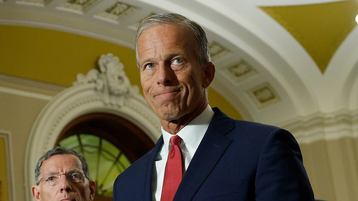 Thune's suitcase nuke – and the filibuster's latest blast injury  at george magazine