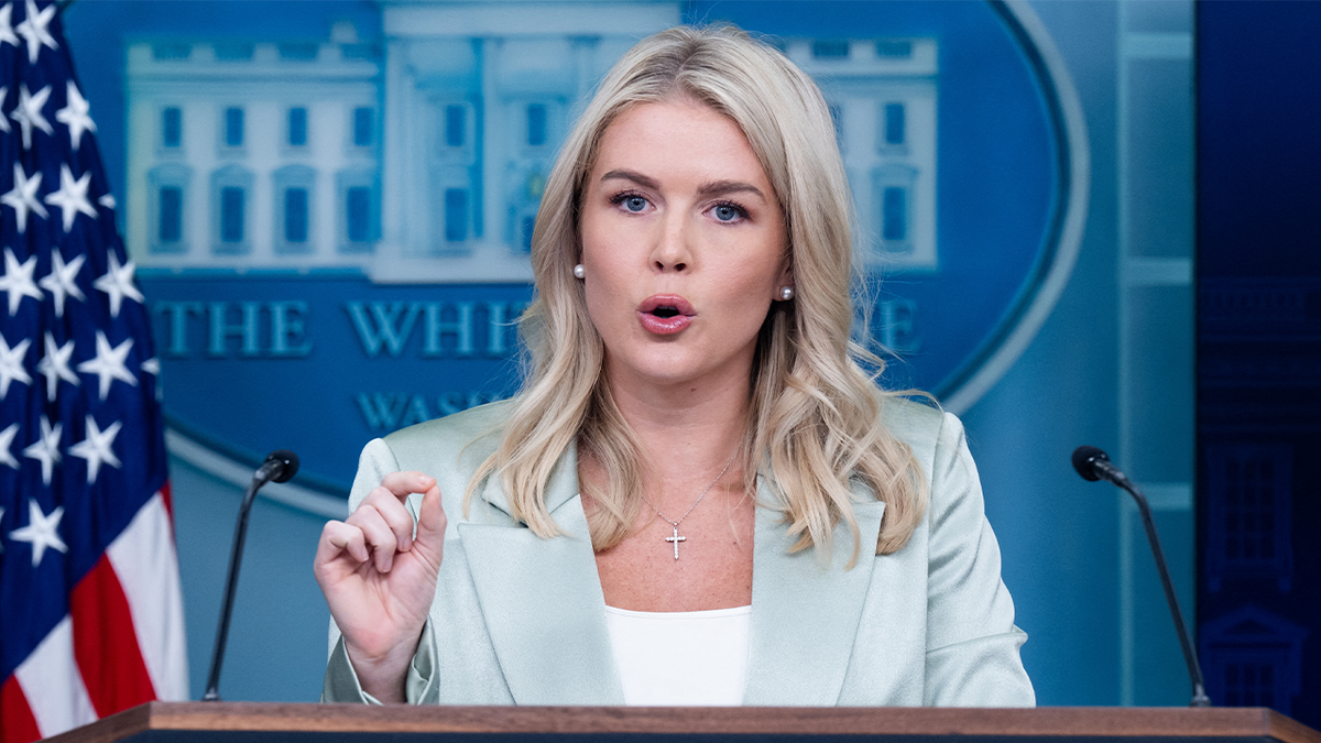Dem crime policies crippling cities even in Red states as crackdown intensifies, White House warns  at george magazine