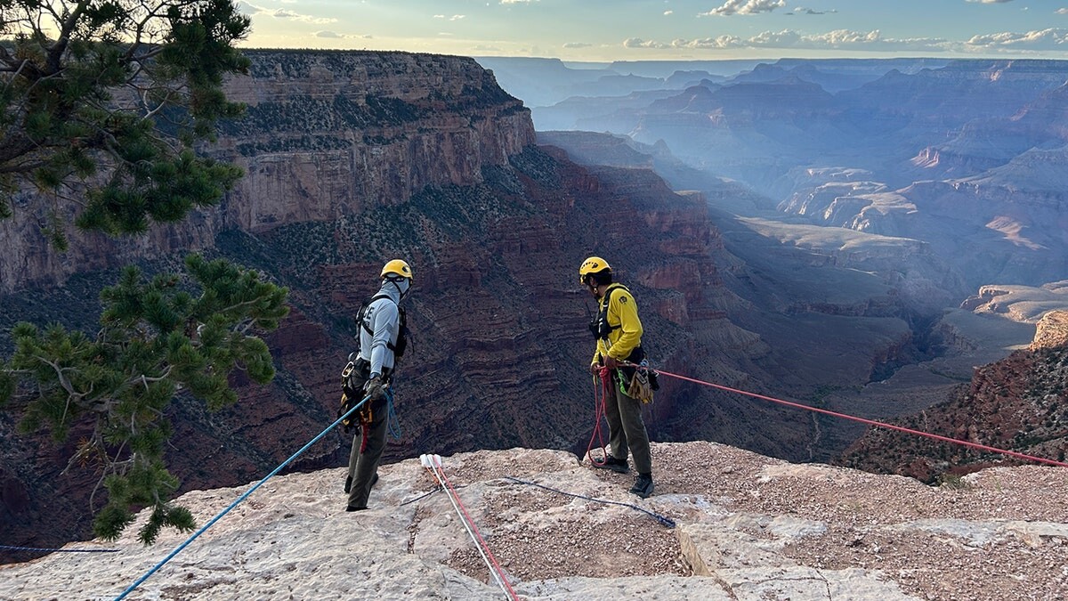 Colorado man dies after car drives over rim of Grand Canyon National Park  at george magazine