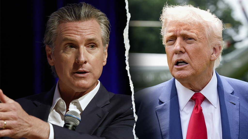 Newsom rips pot farm raids as cartels, Chinese adversaries infiltrate grow operations endangering Americans