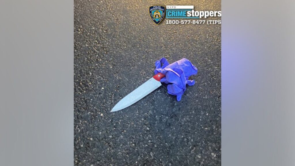 Knife-wielding man slashes NYPD officer in face with 14-inch blade, police shoot him dead in pursuit