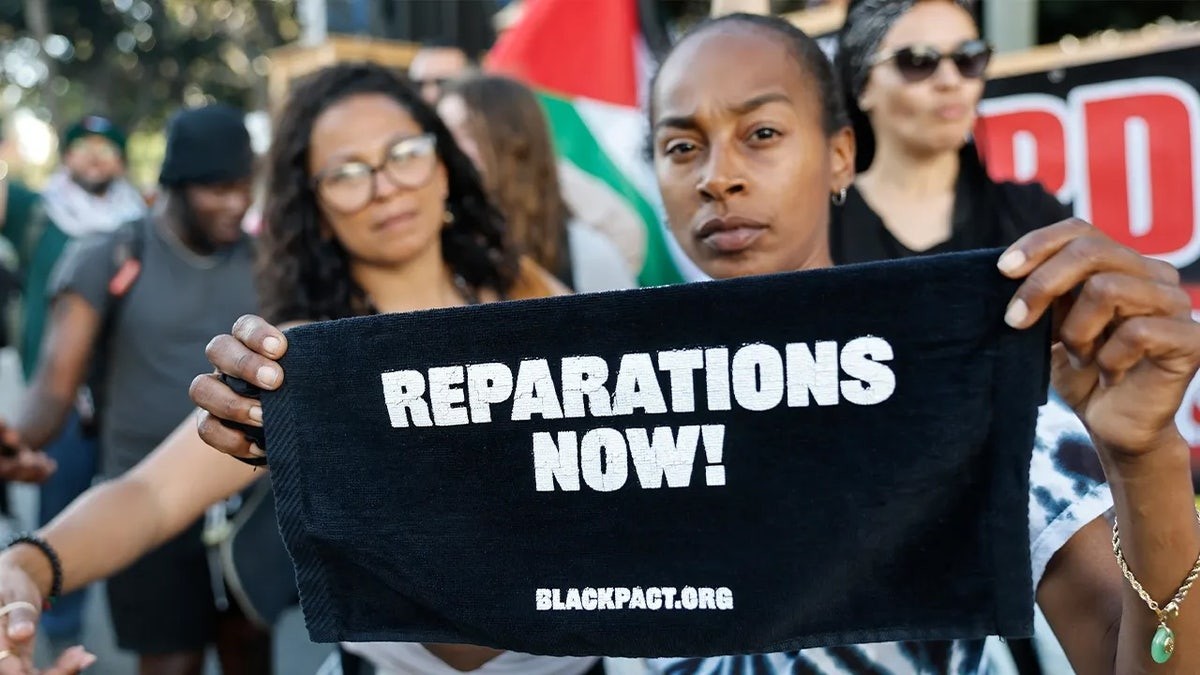 Florida officials warned to avoid reparations-style effort as state gears up to restrict DEI even further  at george magazine