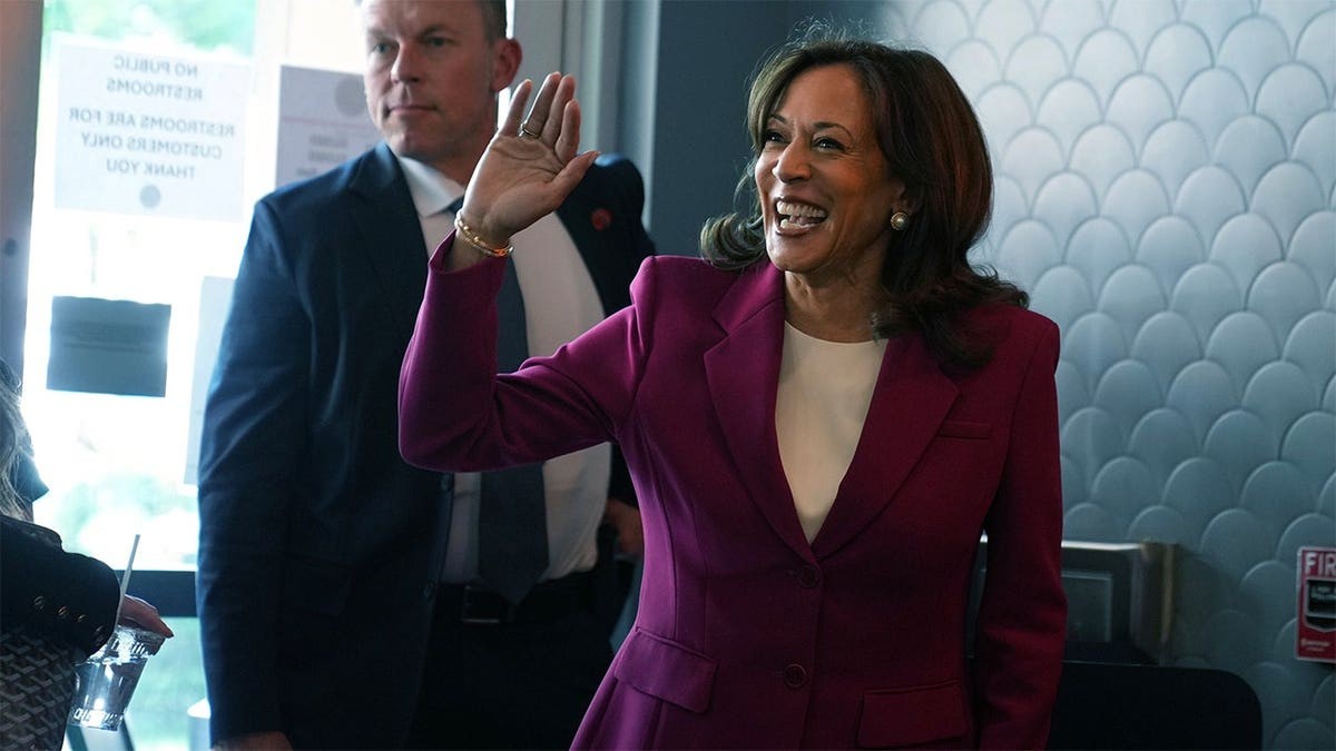 Democrats’ midterm push clouded by infighting over party keeping 2024 autopsy under wraps at george magazine