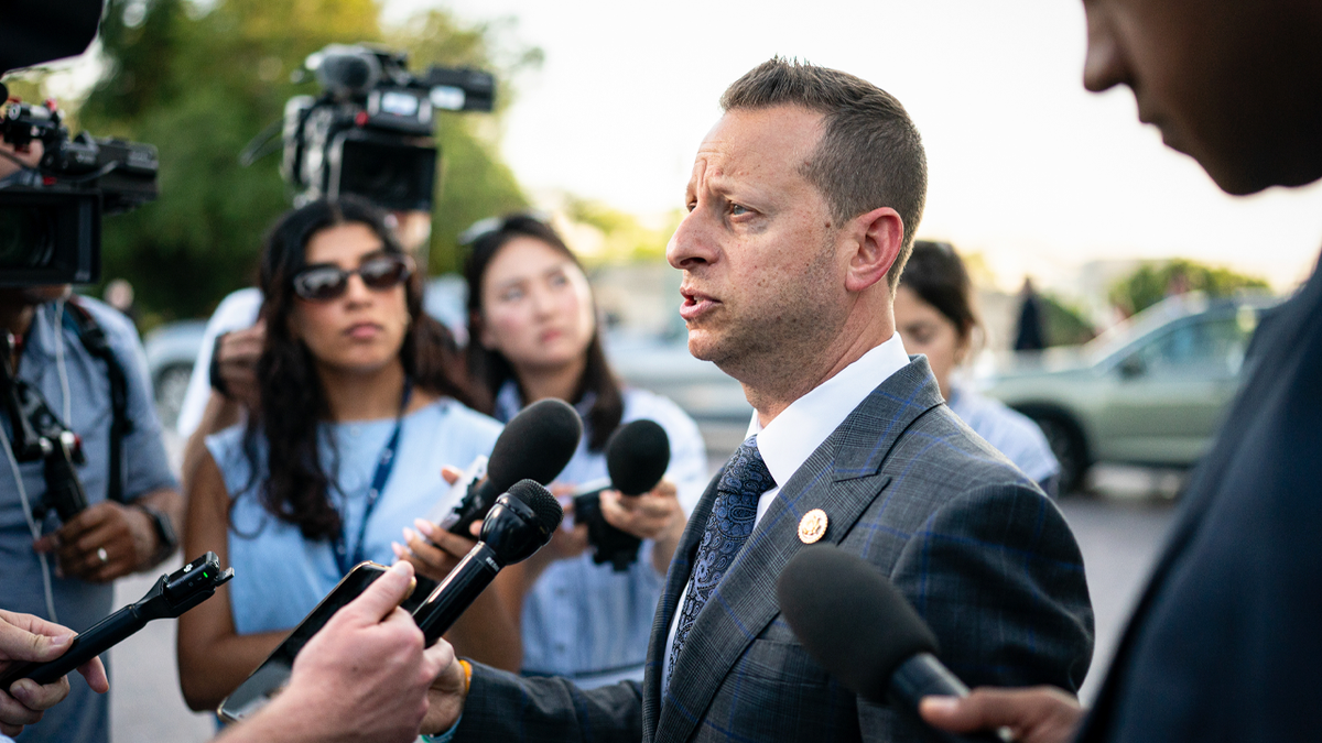 Democrats vow to vote 'every single day' to expel fellow Dem from Congress if she wins midterm  at george magazine