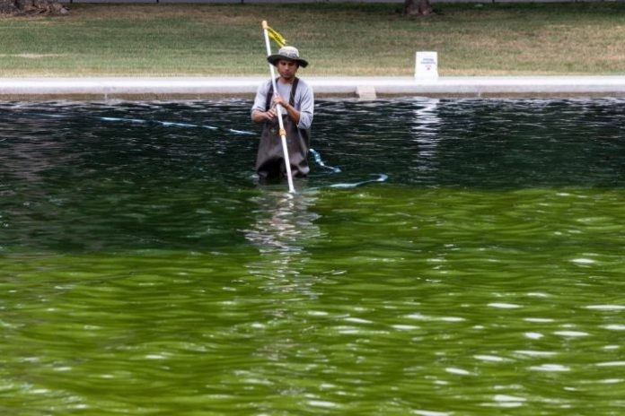 Trump blames ABC reporter and vandals for peeling Reflecting Pool and algae growth