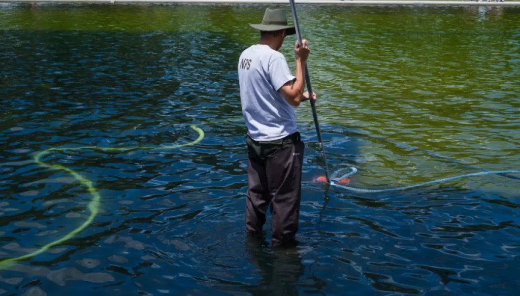 Trump says ‘criminally made’ algae purged from Reflecting Pool