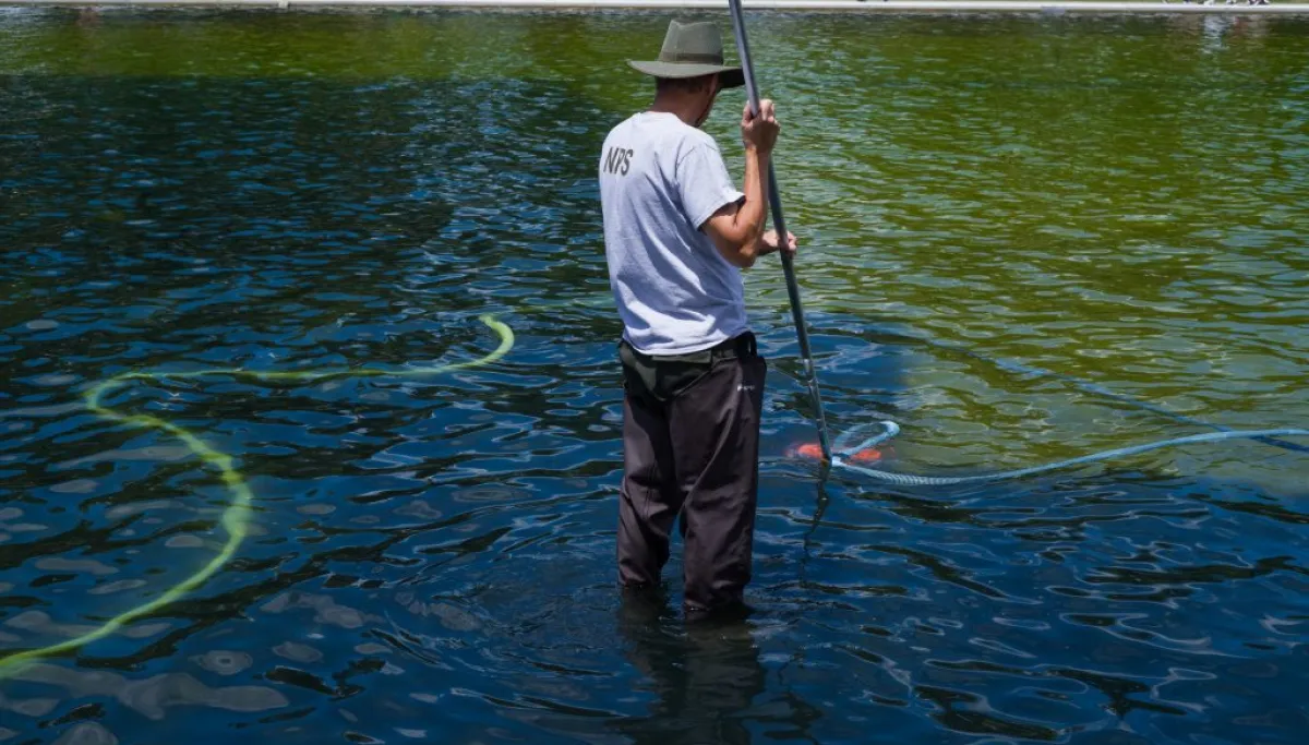 Trump says ‘criminally made’ algae purged from Reflecting Pool  at george magazine