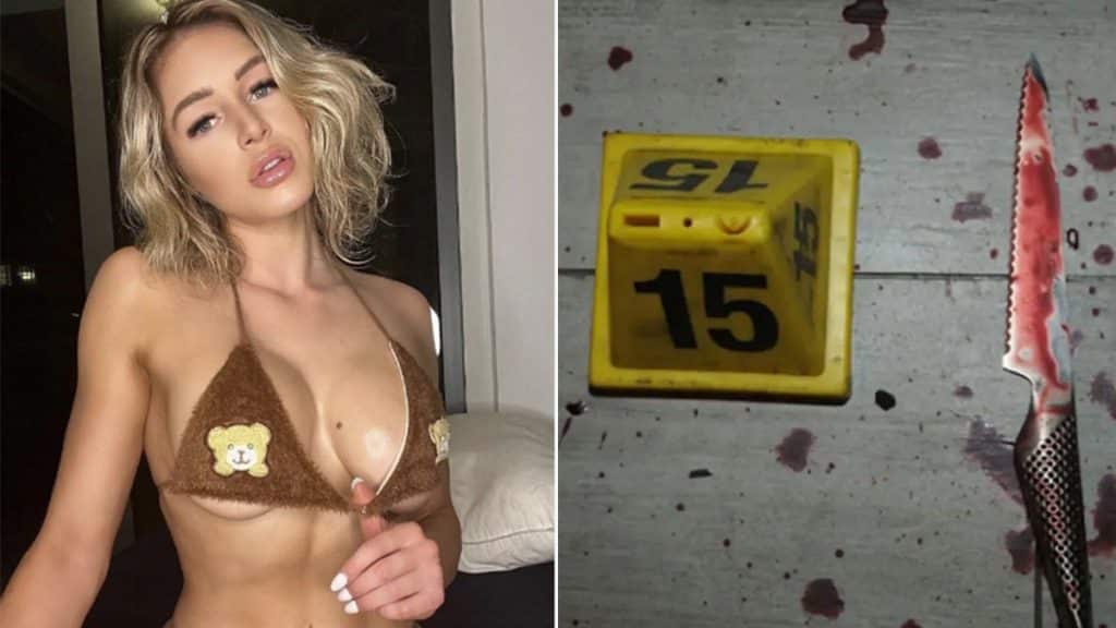 OnlyFans model seeks dead boyfriend’s animal-cruelty warrant in self-defense murder trial: Docs