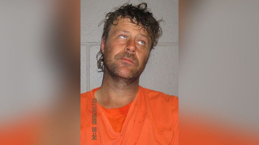 Man who allegedly rode naked atop moving locomotive busted after bizarre train stunt: sheriff