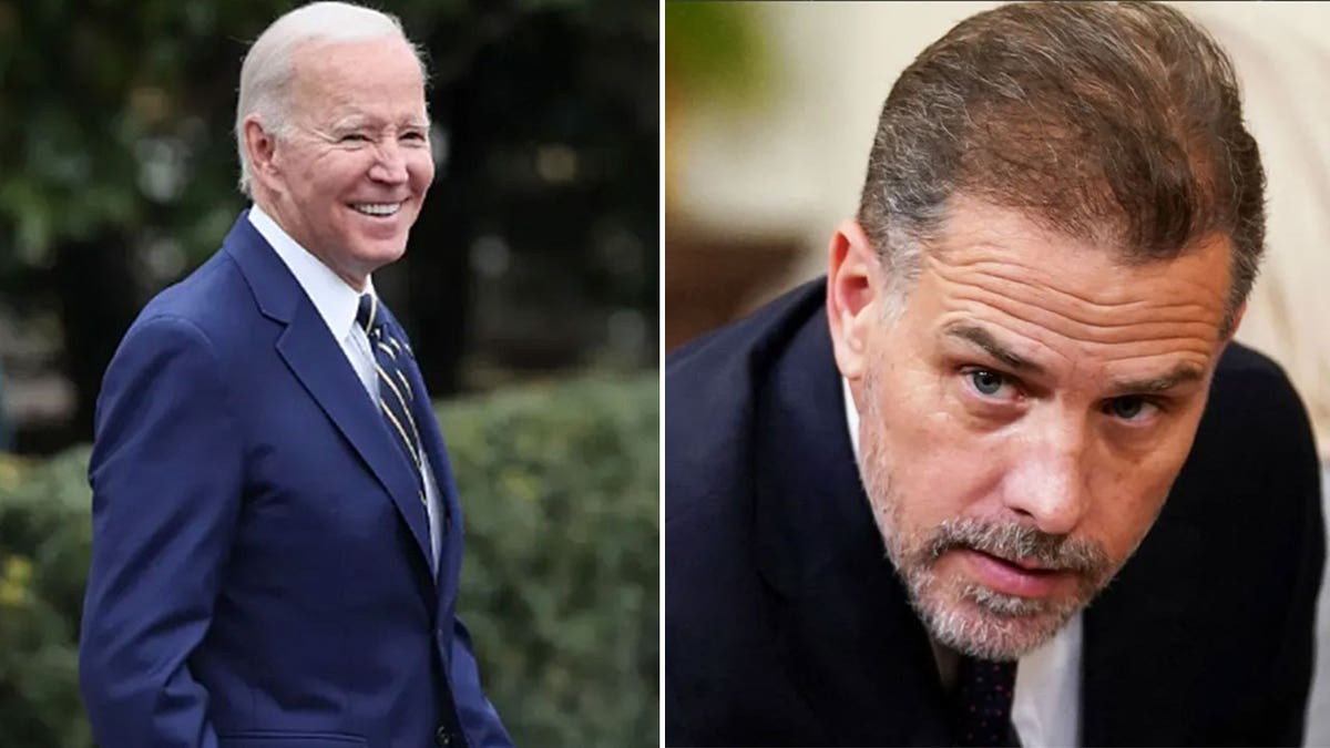 'The View' co-host lauds Hunter Biden as 'riveting' after podcast sit-down, calls him 'biggest troll' at george magazine