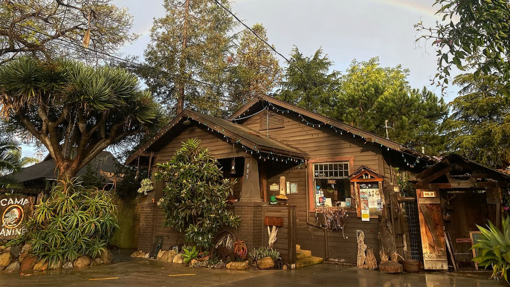 Bulldog’s drowning sparks police probe at dog resort marketed as the ‘Disneyland for dogs’
