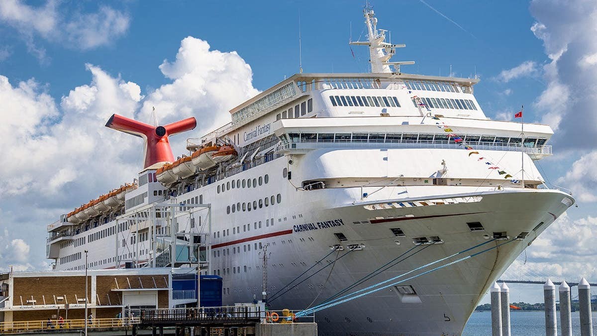 Louisiana woman hospitalized after rope swing mishap on cruise excursion left her with genital trauma  at george magazine