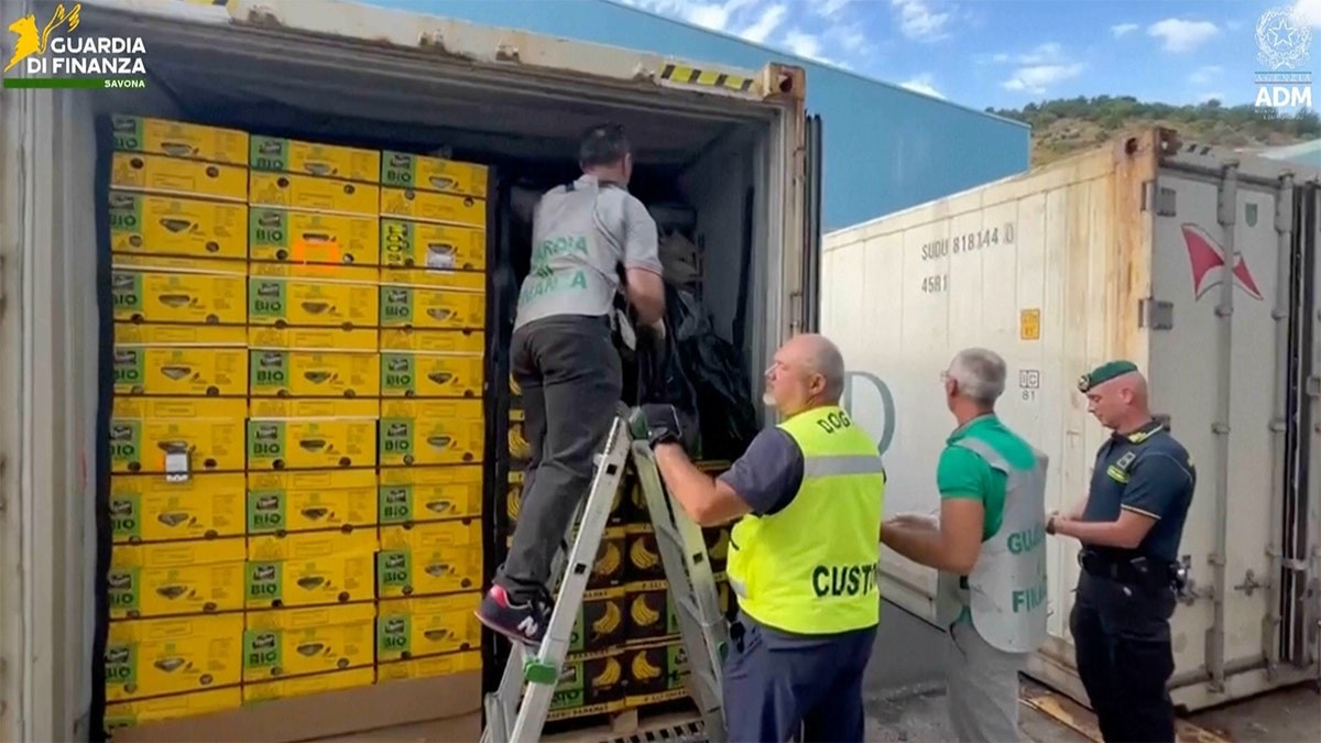 $290M cocaine haul found ‘skillfully concealed’ in massive banana shipment at george magazine