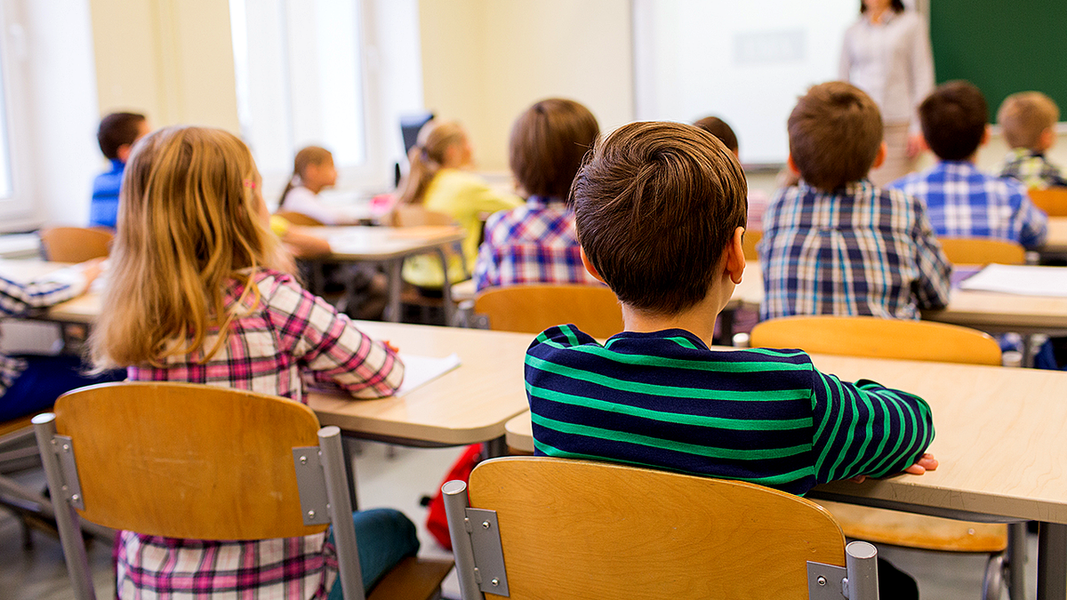 Connecticut school board vice chair compares America's founding to Holocaust in viral July 4 post at george magazine