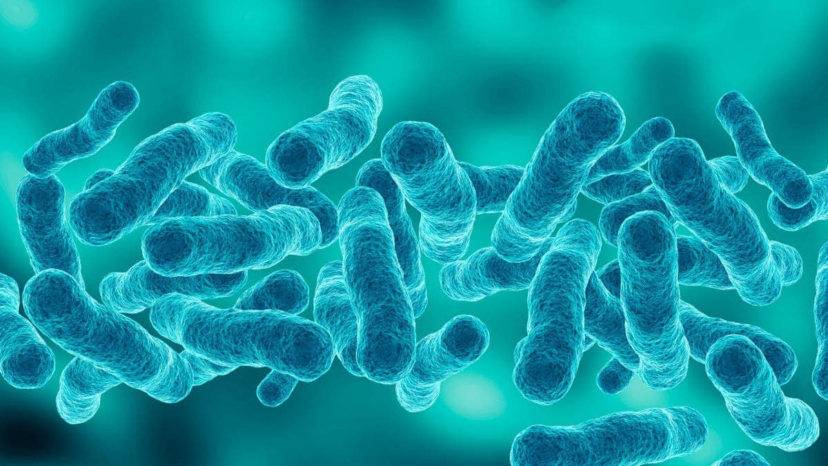 First death reported in Upper East Side Legionnaires' disease outbreak as cases rise to 67 at george magazine