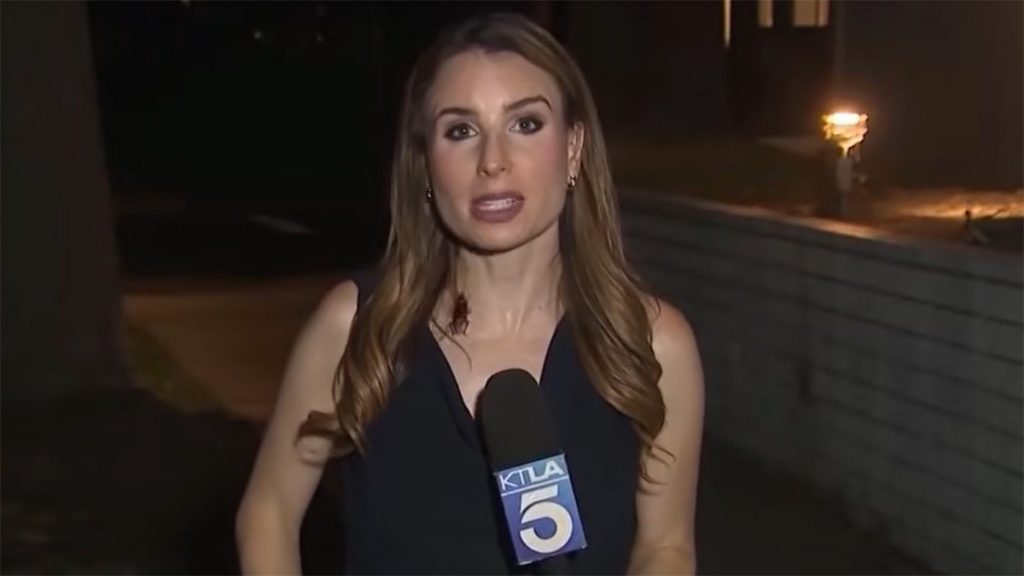 Los Angeles journalist goes viral keeping calm while a cockroach crawls over her during on-air report
