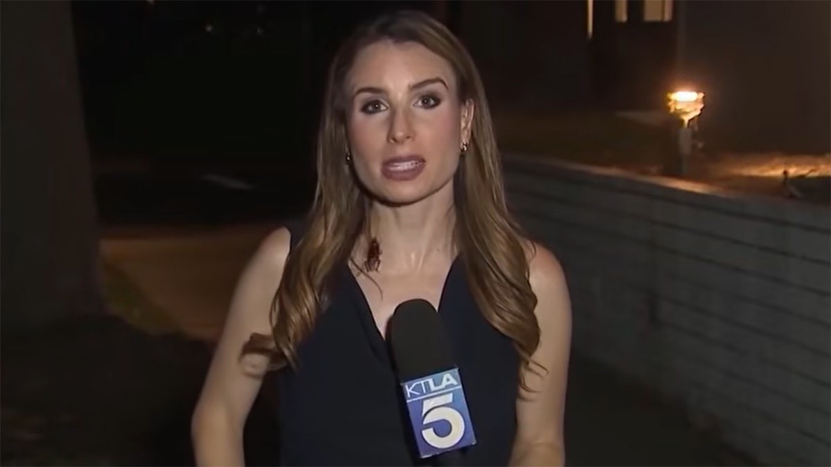 Los Angeles journalist goes viral keeping calm while a cockroach crawls over her during on-air report at george magazine