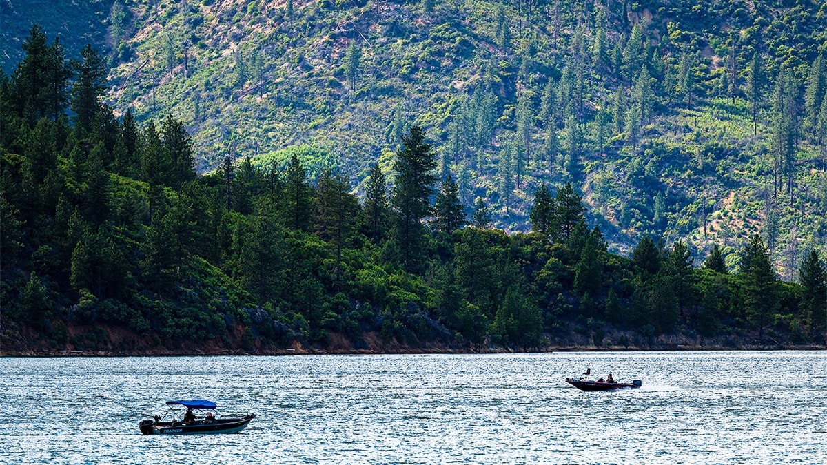 US forest service workers kidnapped, ziptied for hours by father-son duo: California AG at george magazine