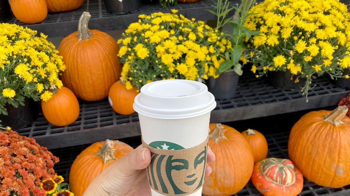 Pumpkin spice invades summer as Americans kickstart fall traditions earlier than ever at george magazine