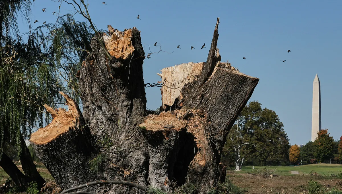 Federal judge blocks further changes to DC golf course  at george magazine