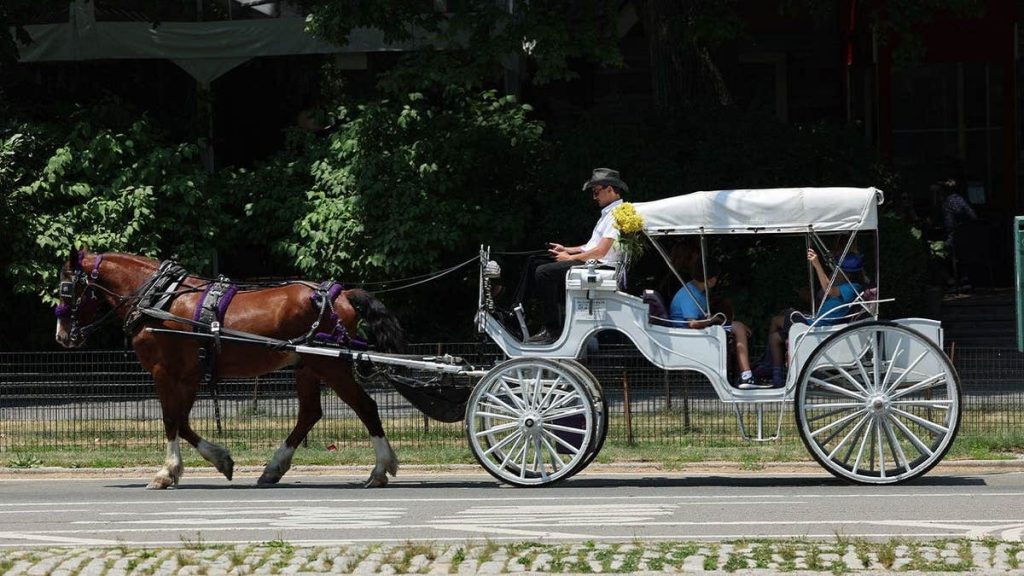 Mamdani accused of betraying NYC workers as union boss blasts ‘anti-labor’ horse carriage ban