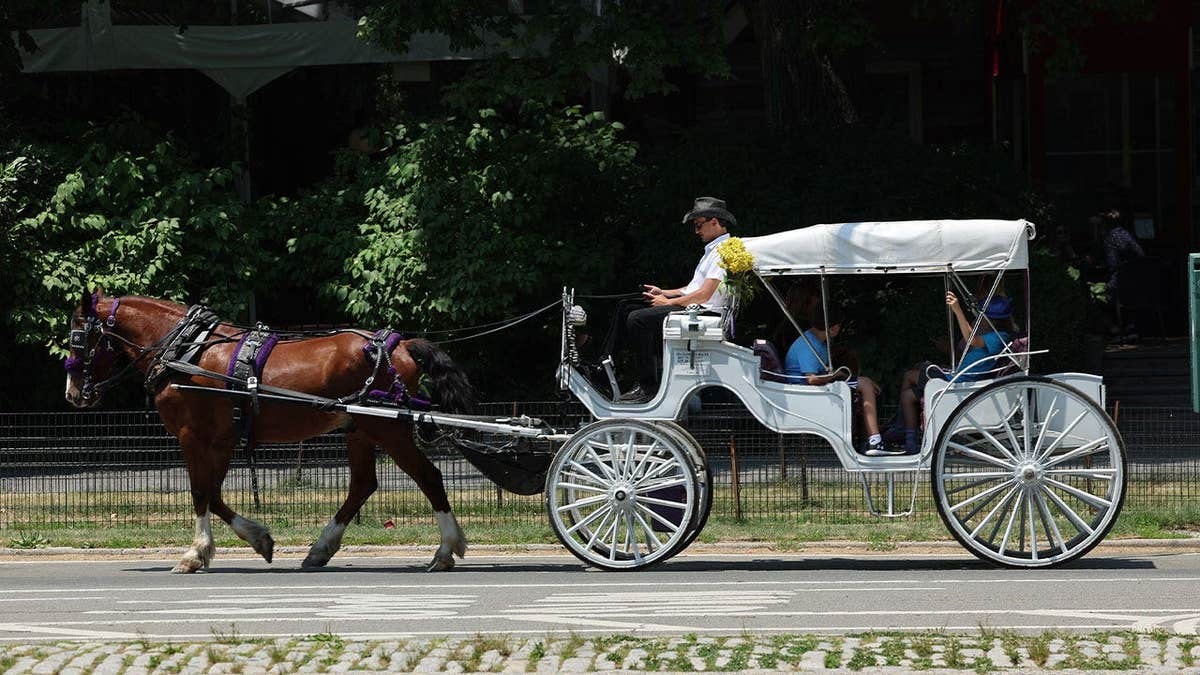 Mamdani accused of betraying NYC workers as union boss blasts 'anti-labor' horse carriage ban  at george magazine