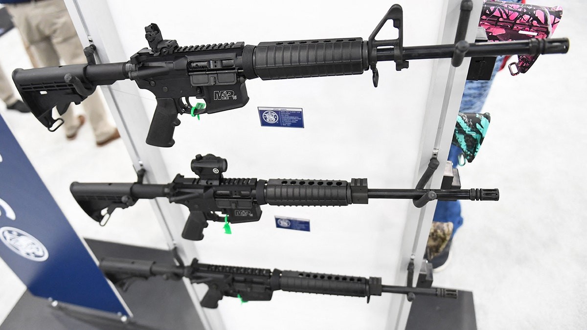 Federal appeals court rules some nonviolent felons can legally own guns  at george magazine