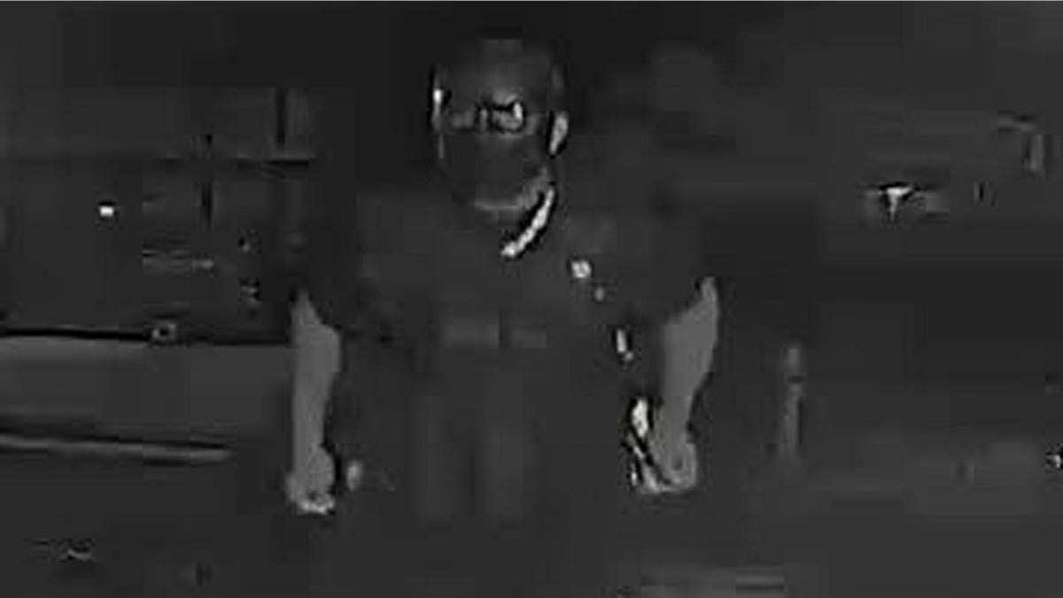 Two teens arrested after carrying what looked like rifles to Delaware homes in late-night prank: police at george magazine