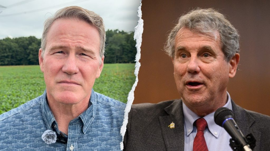Republicans in historically critical battleground county pull no punches in midterm homestretch: ‘Lot of hope’