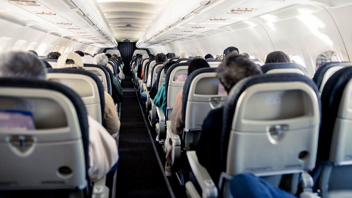 Bedbugs found in plane's economy seats force major airline to cancel flight  at george magazine
