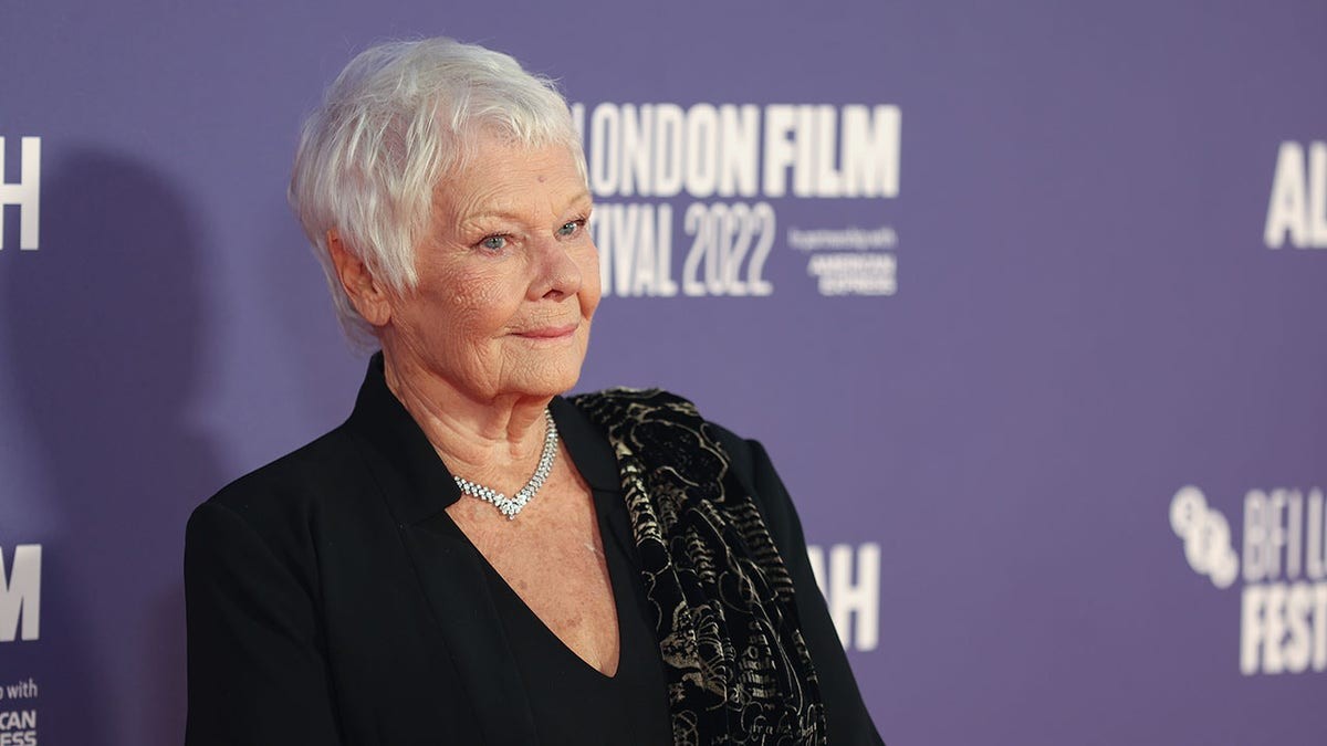 Judi Dench blasts 'trigger warnings' ruining stories: 'Drives me wild' at george magazine
