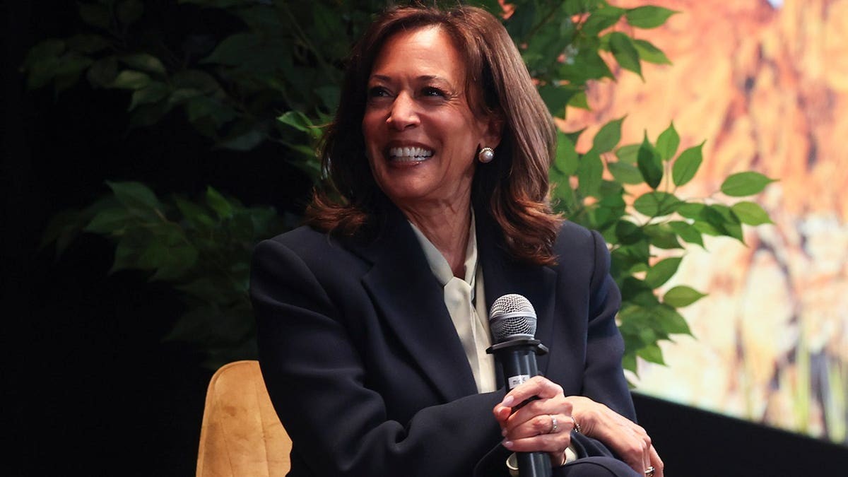 Kamala Harris faces Democratic doubts over 2028 as allies push back on claims she’s squandered her chance  at george magazine